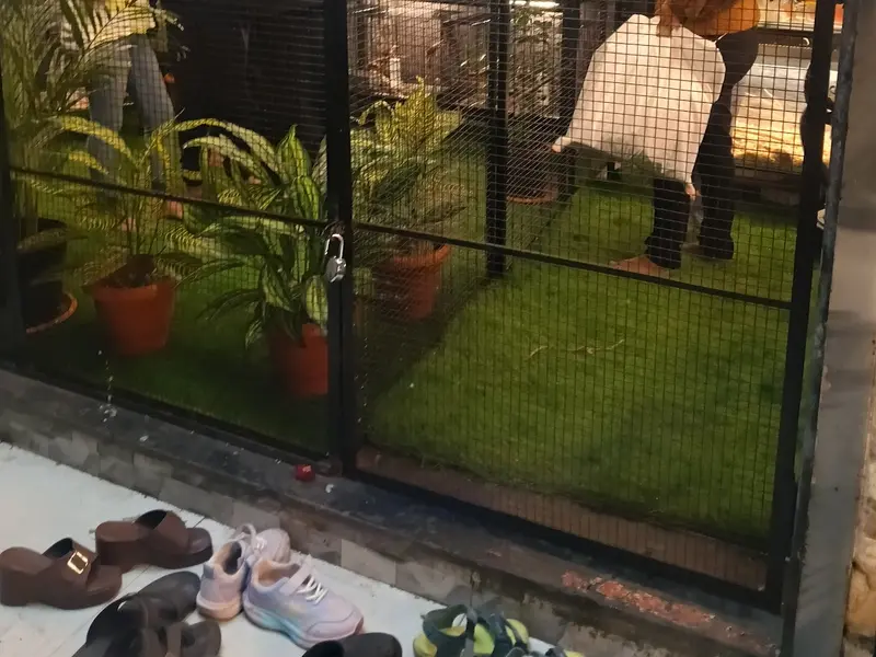 Sai Sayaji Bird House pets shop, photo 2