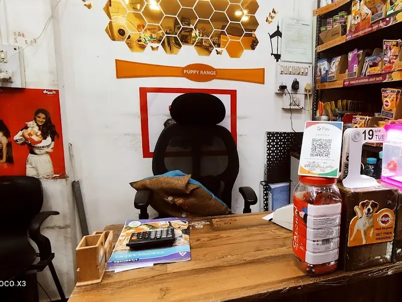 THE PETS DEN, photo 5
