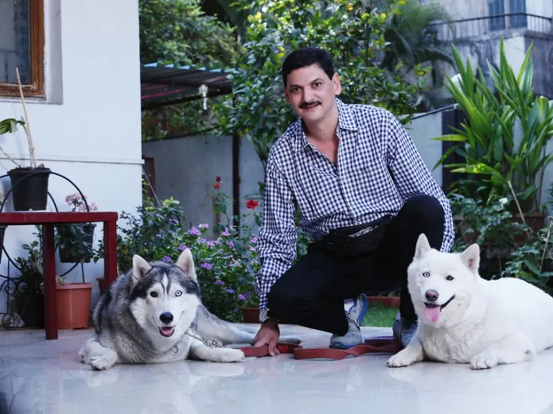 Dhanu's Kennel Dog Training & Rehabilitation- By Shailesh Omkar, photo 2