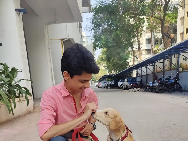 Dhanu's Kennel Dog Training & Rehabilitation- By Shailesh Omkar, photo 3