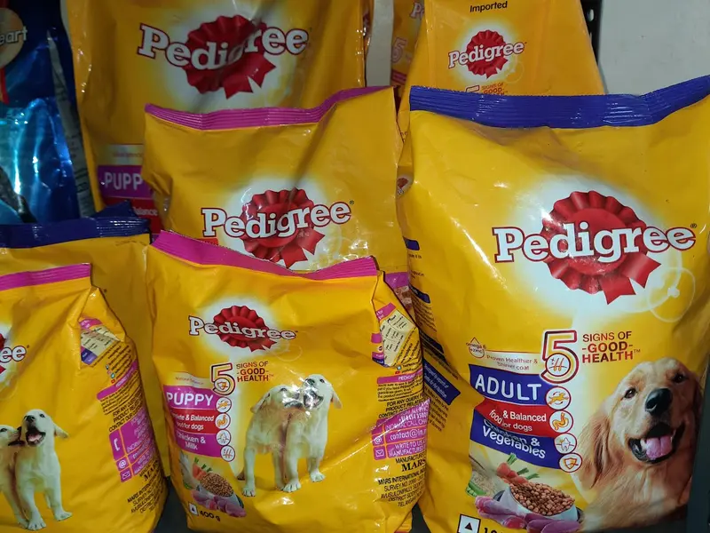 Dreamy's Pets Shop, photo 3
