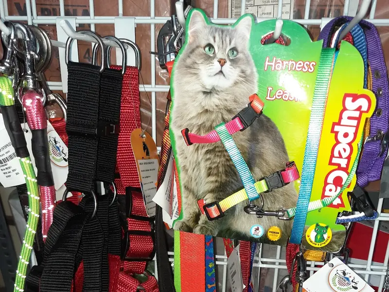 Dreamy's Pets Shop, photo 4