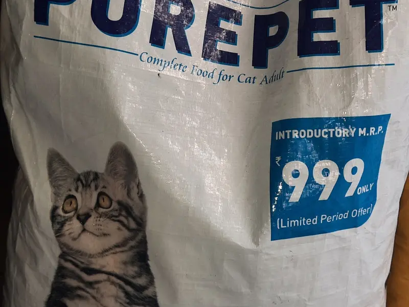 Dreamy's Pets Shop, photo 5