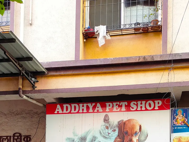 ADDHYA PET SHOP, photo 2