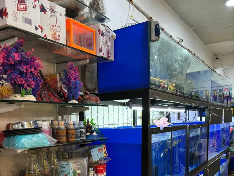 SHIVANSH PET STORE, photo 2