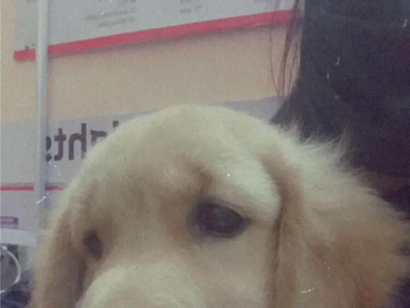Fur's Pet Clinic, photo 3