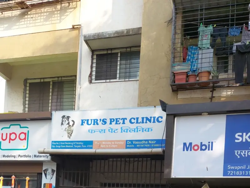 Fur's Pet Clinic, photo 5