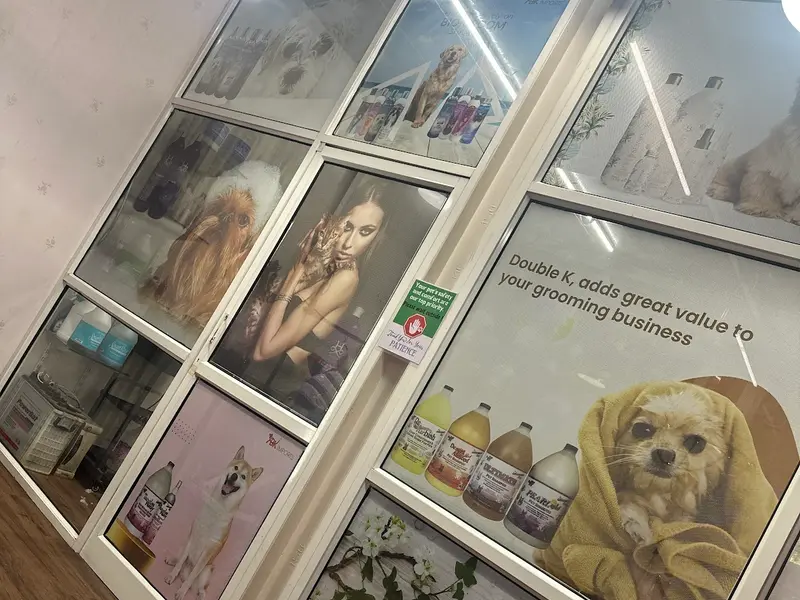 Pet lovers, photo 2
