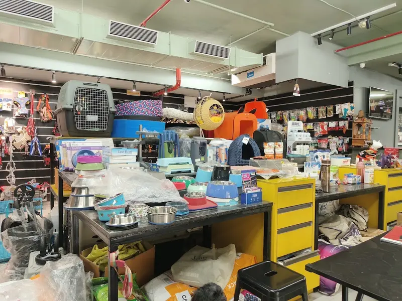 Sniffy Nose Pet Store | Pet Grooming | Pet Clinic | Pet Taxi - Undri, Pune, photo 4