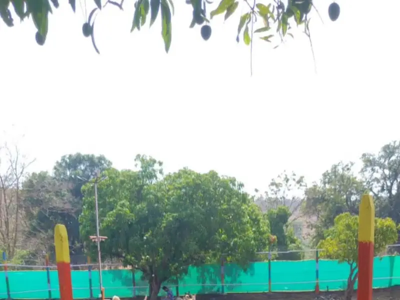 DOG POINT CLUB, photo 5