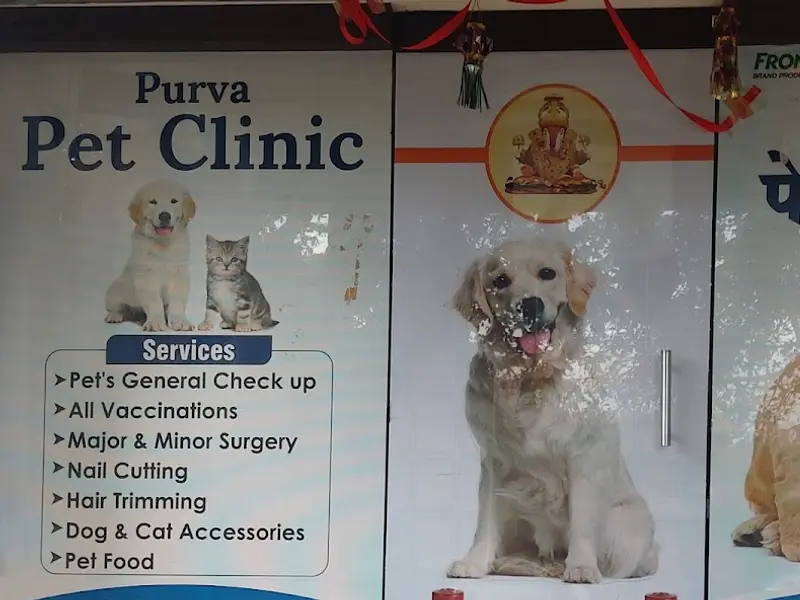 Purva Pet Clinic, photo 4