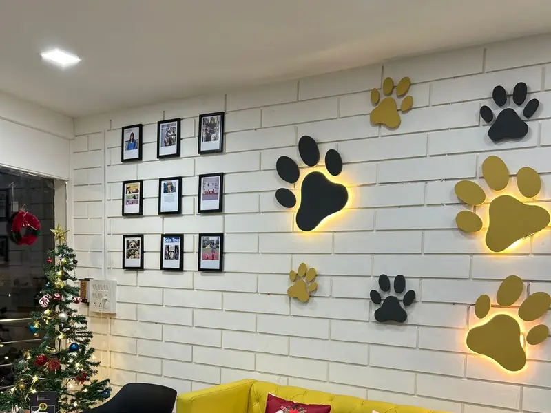 Petfeast Cafe - For Paws & People (Pet Shop/Pet Bakery/Pet Friendly Cafe), photo 3
