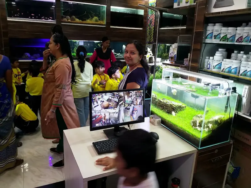 Wonder Pets Pune, photo 5