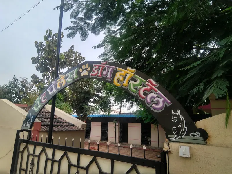 Pet palace Dog's Hostel, photo 2