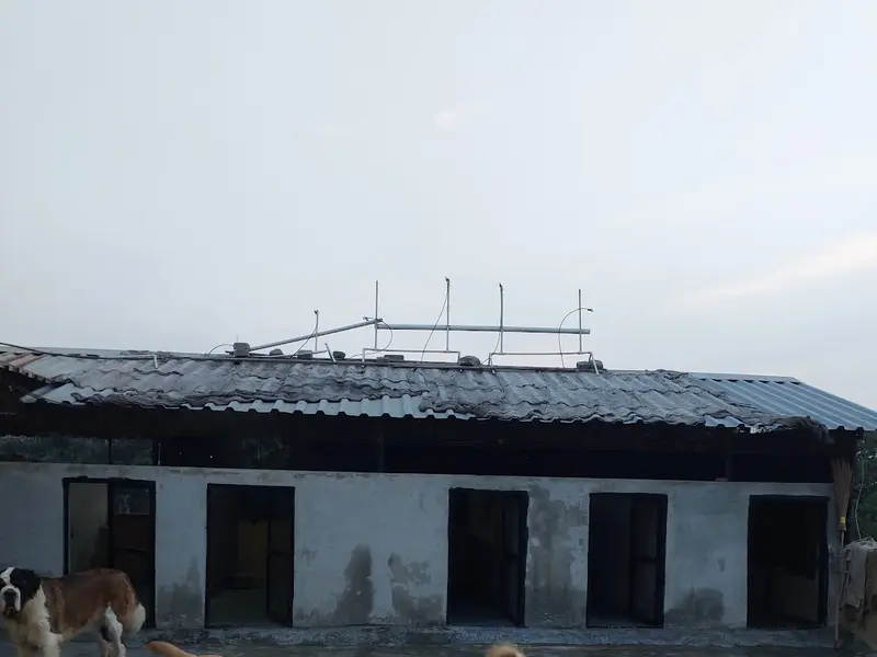 Prince Dog Hostel & Day Care Center, photo 3