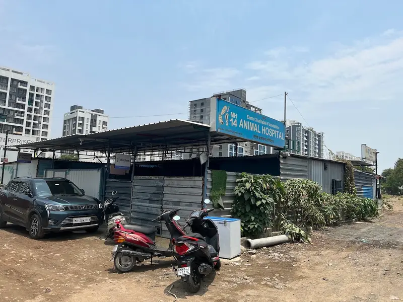 MH14 Animal Hospital (run by Earth Charitable Foundation), photo 5