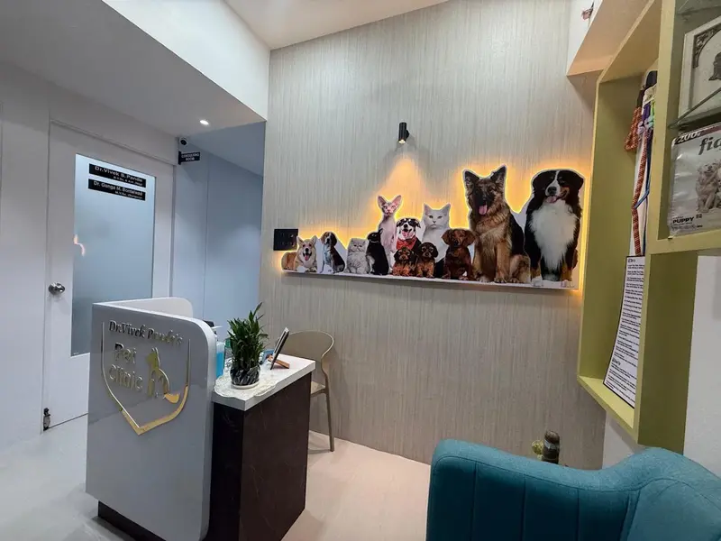 Dr. Vivek Pande's Pet Clinic (Shastri Nagar), photo 5