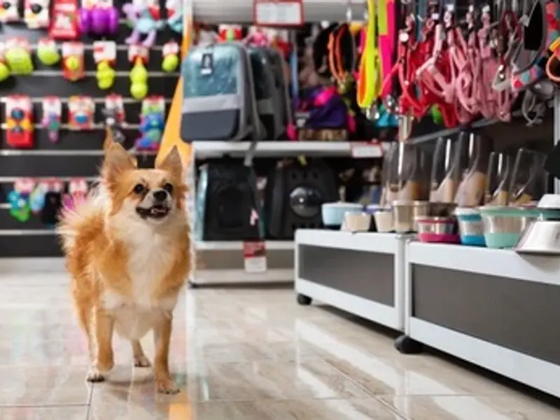 Royal Canin - Jay Laxmi Pet Shop, photo 2