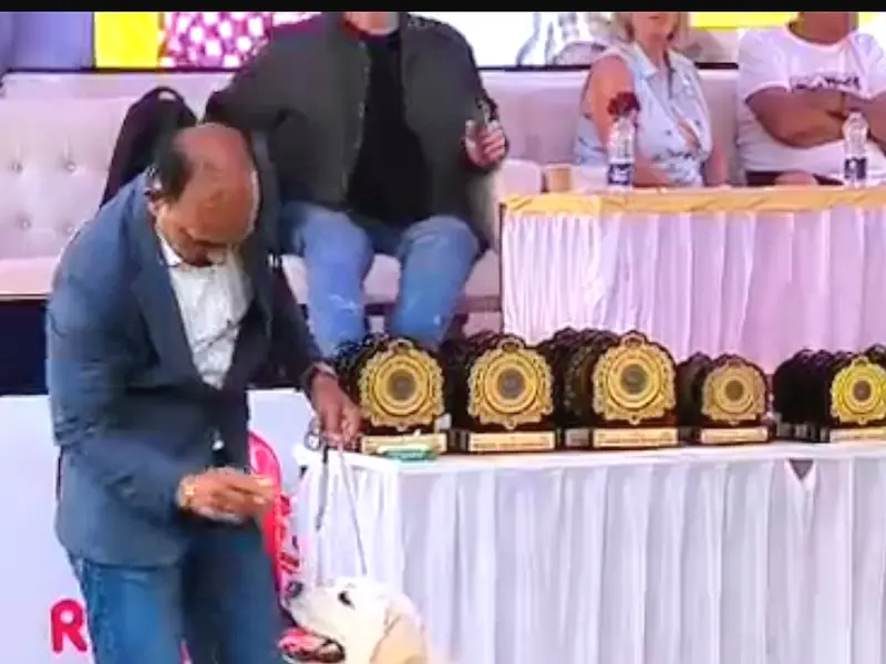 Tekawade Kennel ( SPECIAL Beagle Kennel in Maharashtra), photo 4
